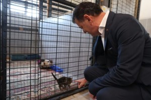 Öğrenciler Sokak Hayvanları Rehabilitasyon Merkezimizi Ziyaret Etti
